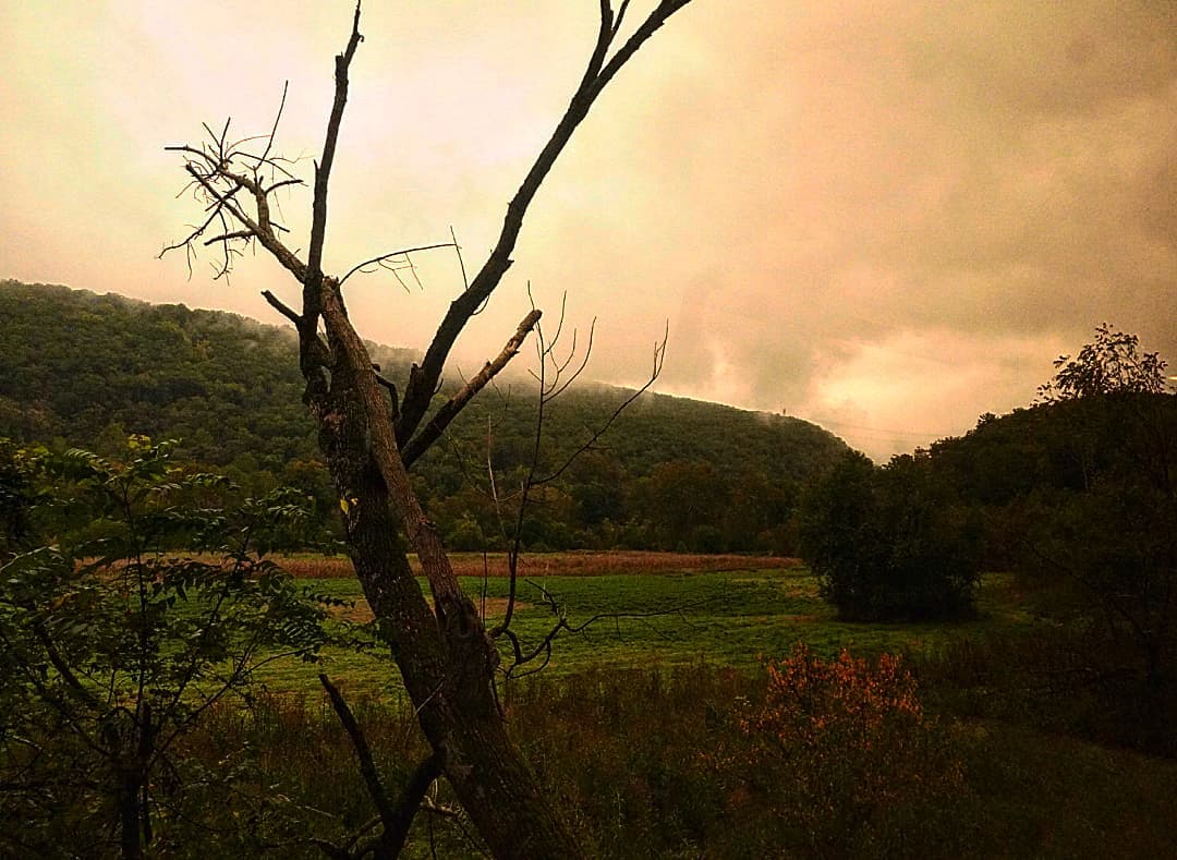 Of Stillness