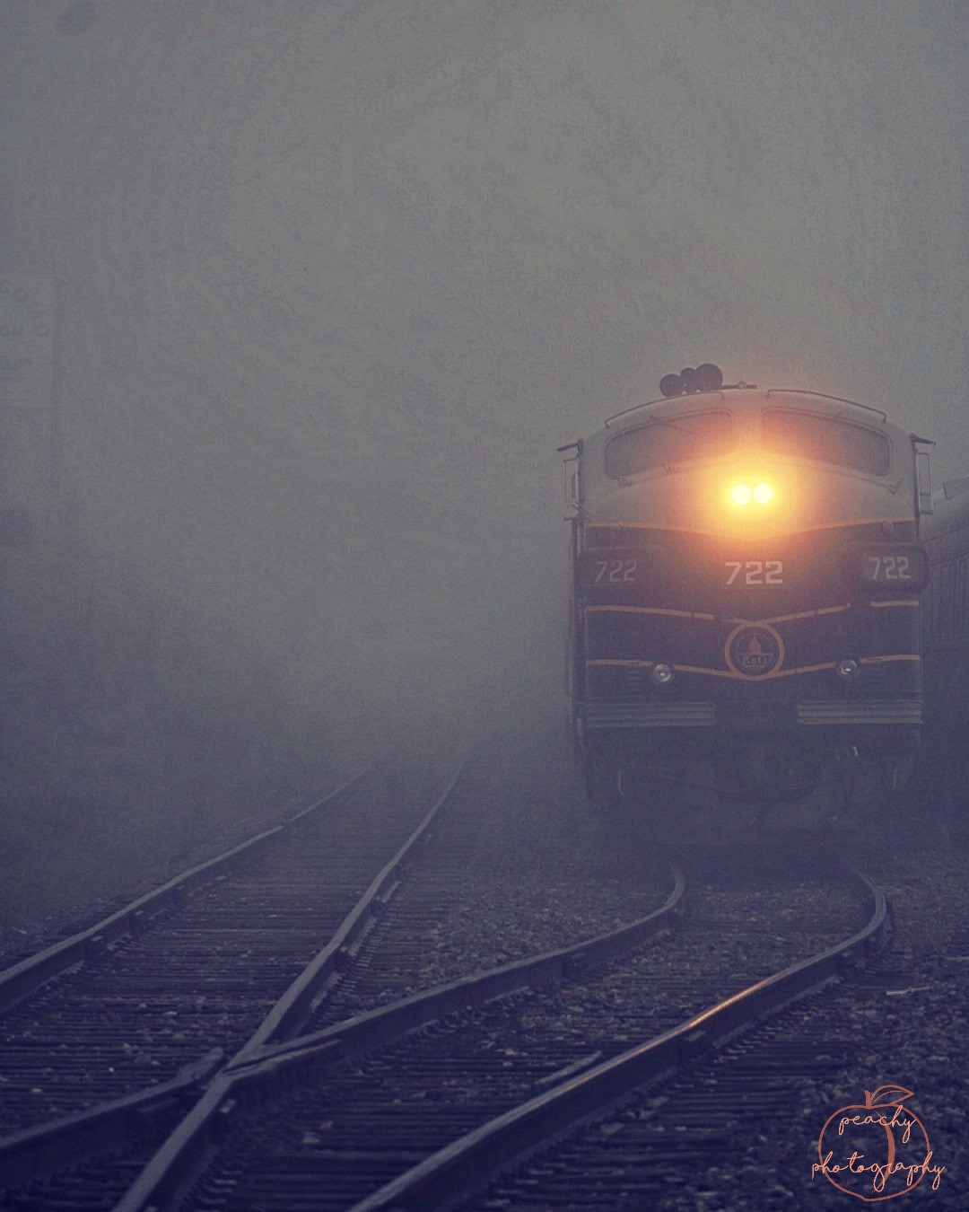 Through the Mist