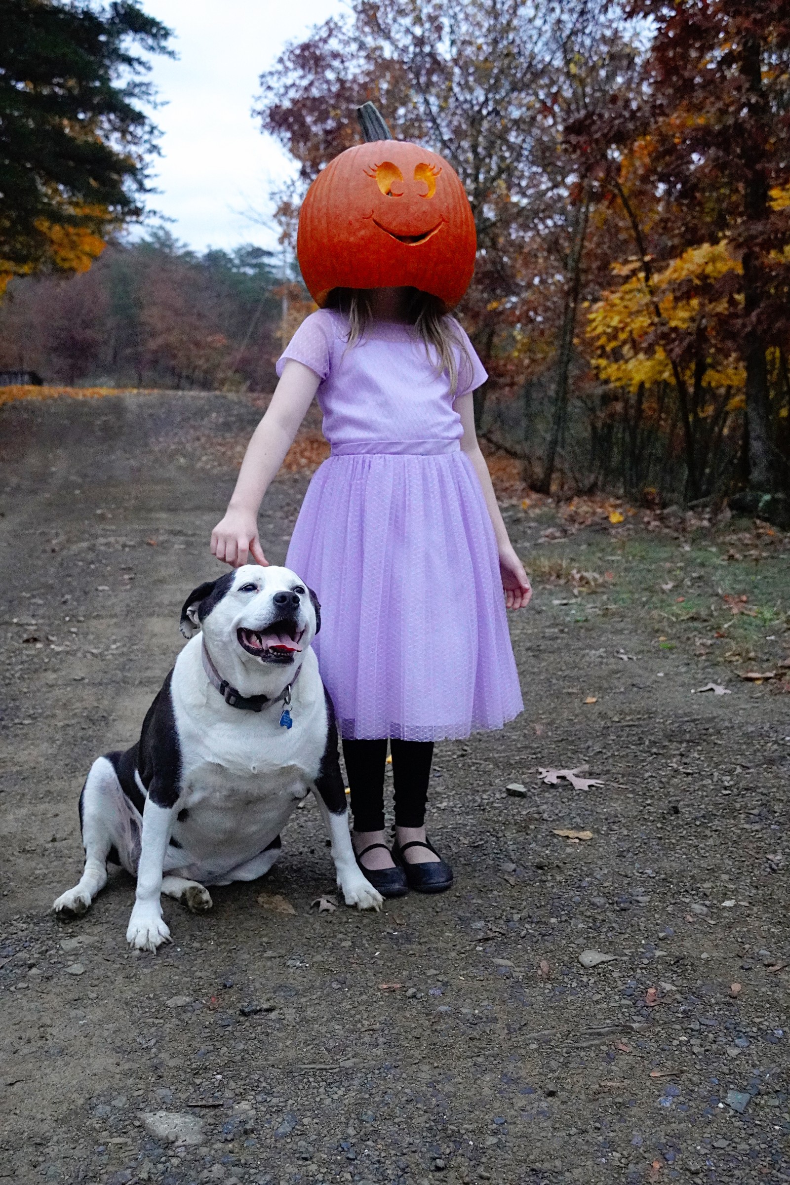 Pumpkins & Paw Prints