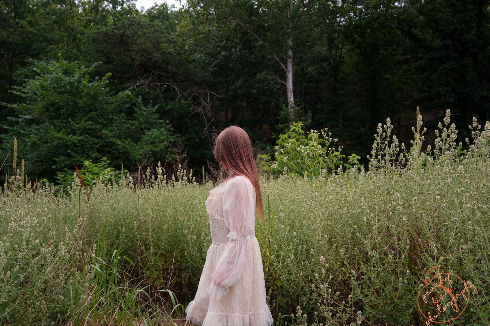 Whispers of the Country