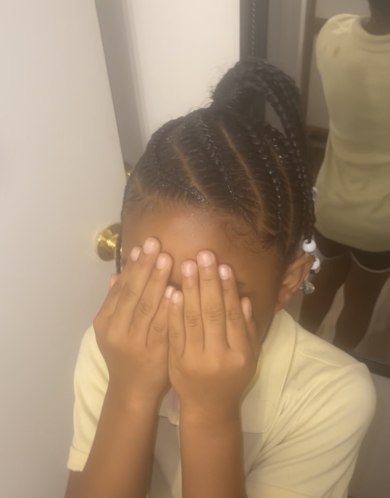 Natural Hair Braided Styles