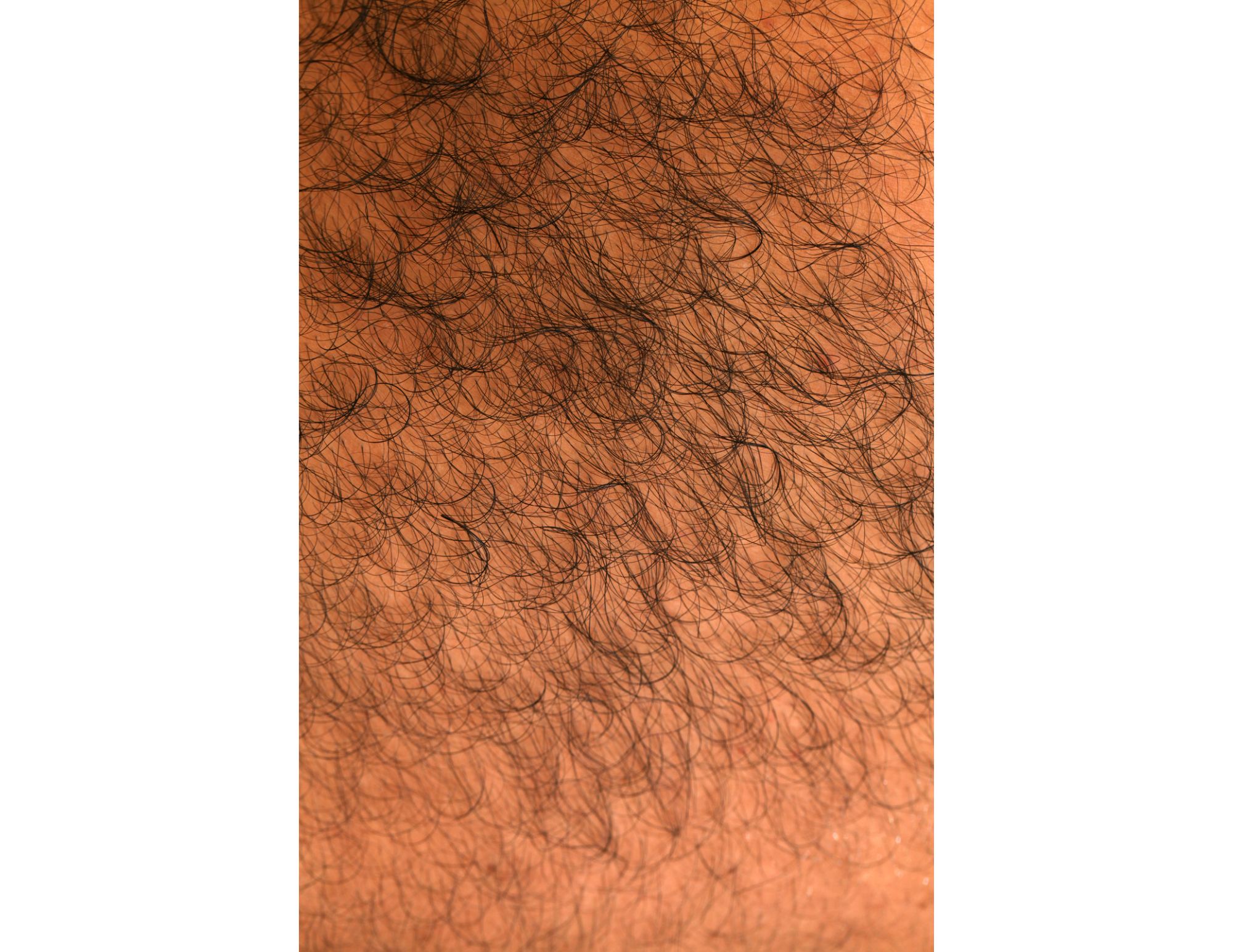 Full Stomach Wax