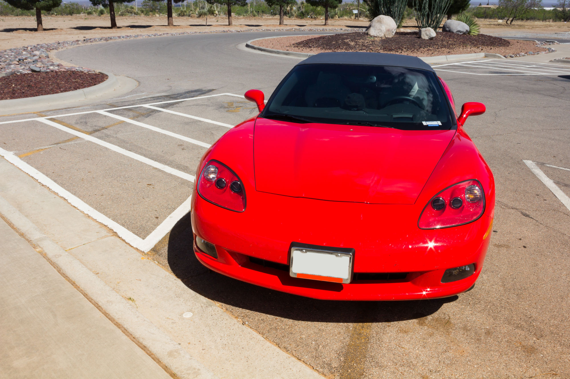 Lucid Diamond Auto Schedule Anyone