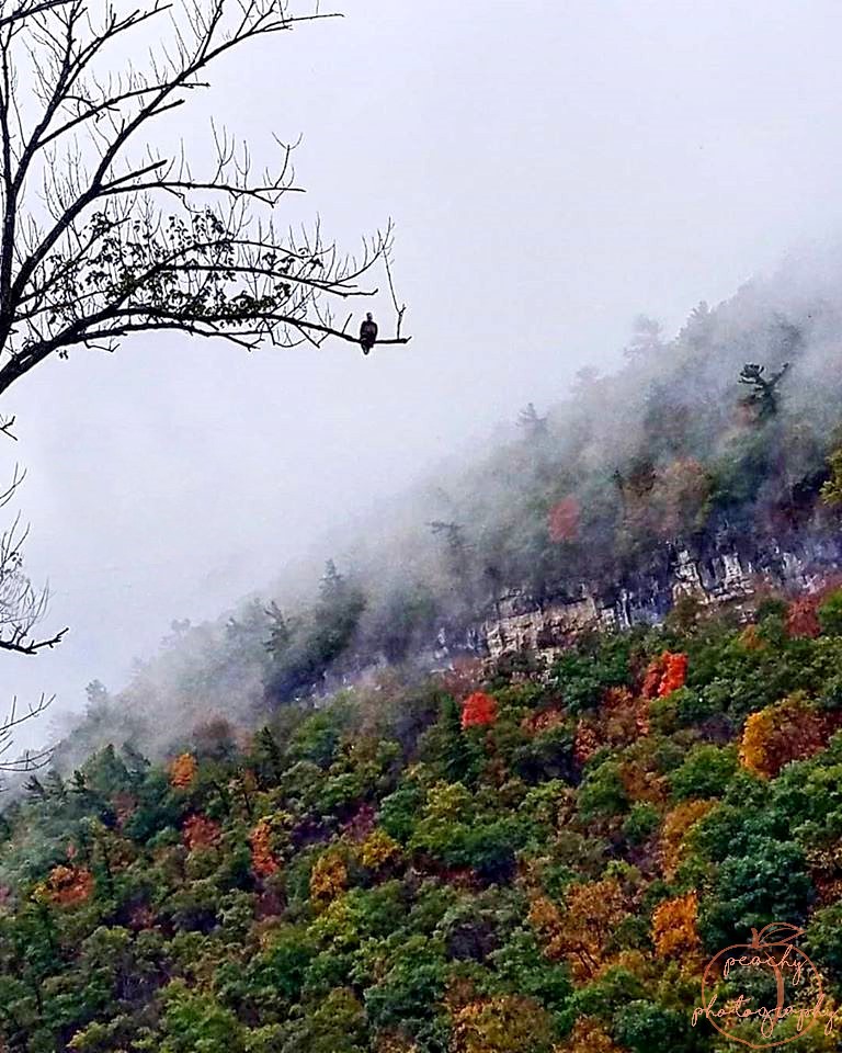 Solitude from Above
