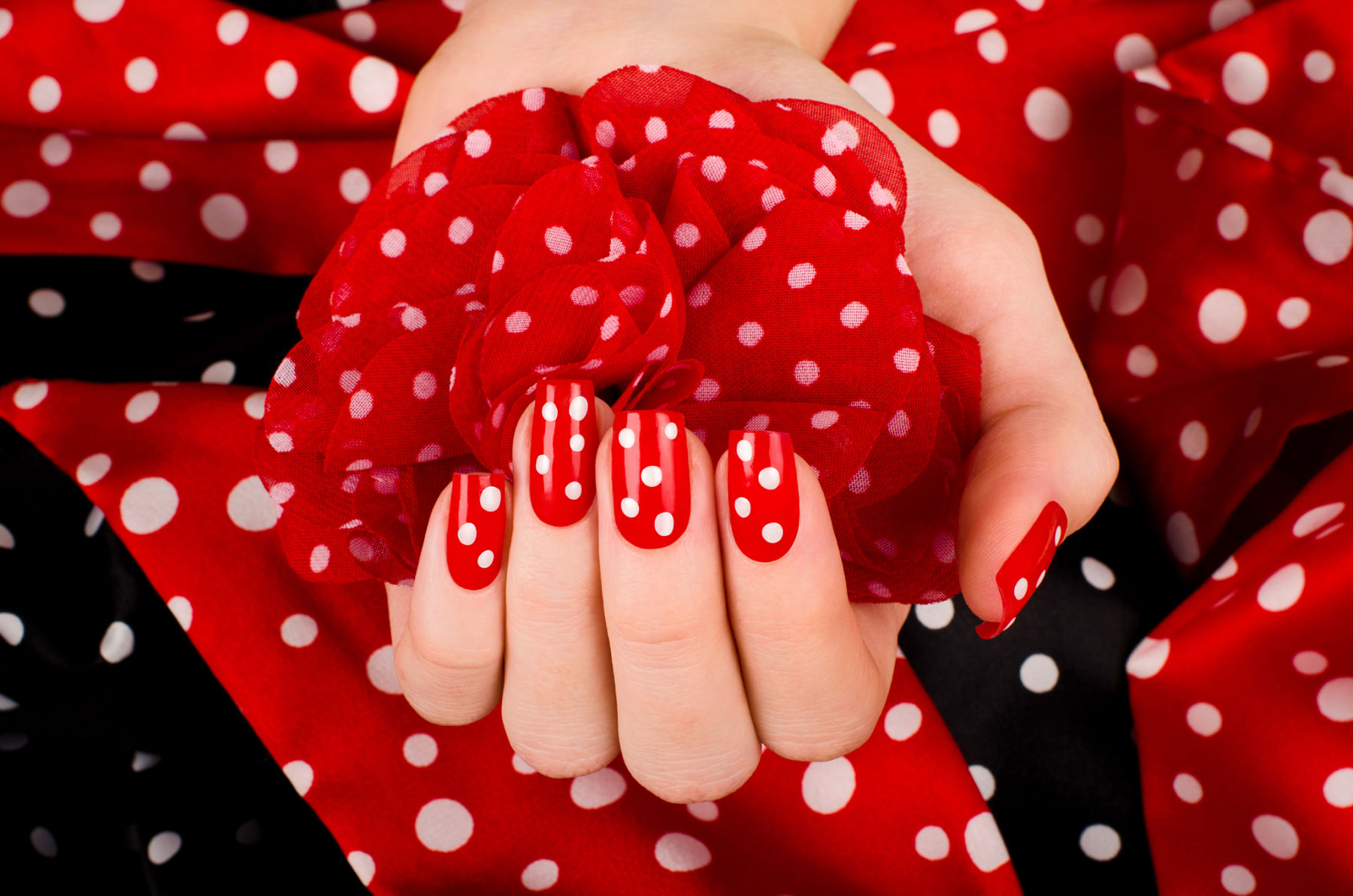 Pansy Nail Salon Membership Salons